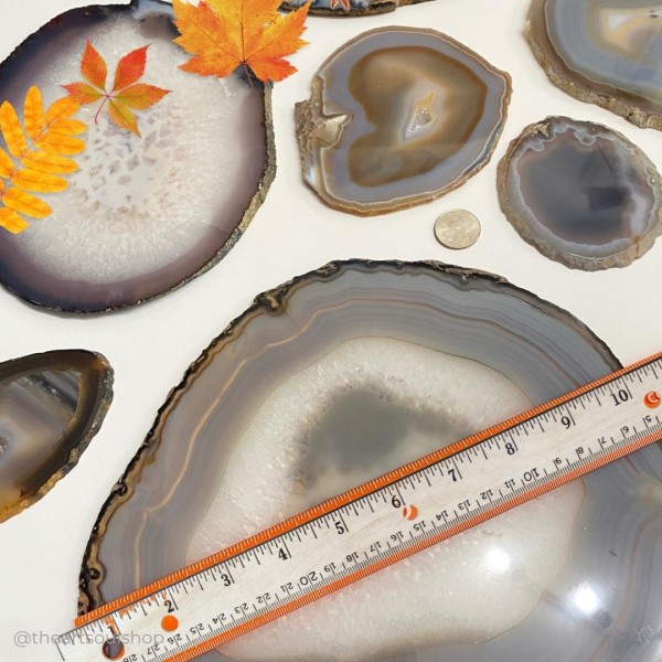 Agate Slices Natural Crystal | Harmony | Spiritual Balance - Display for Crystal Altar | Art Soul Shop